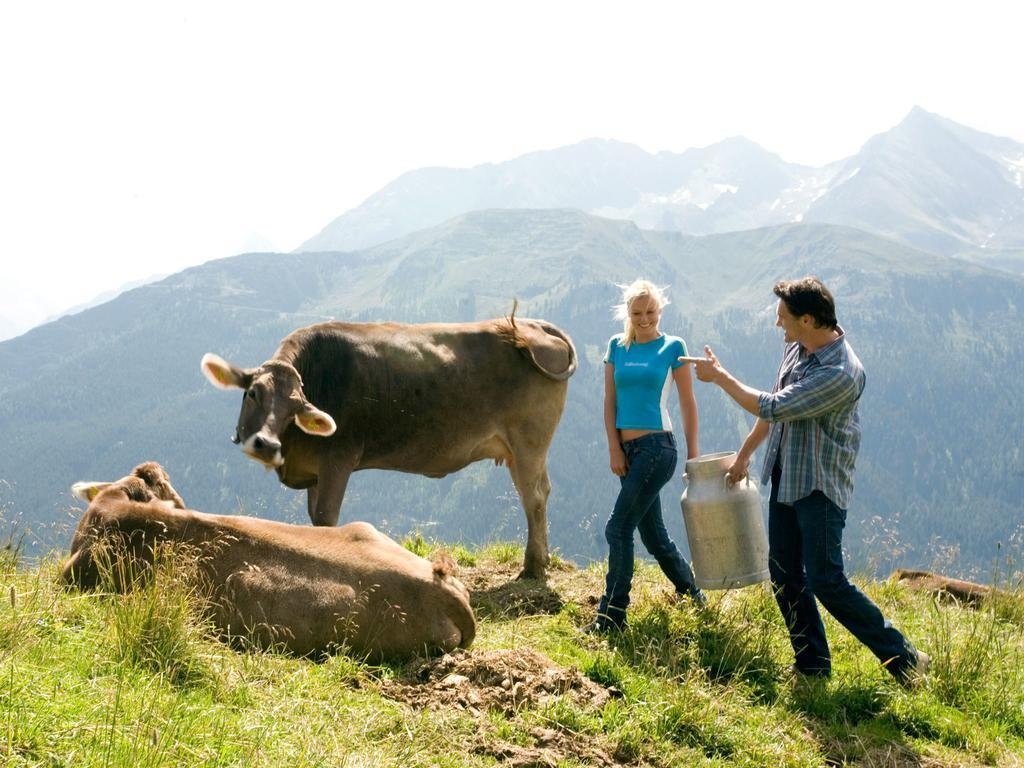 Gasthof Pension Madseiterhof 턱스 외부 사진